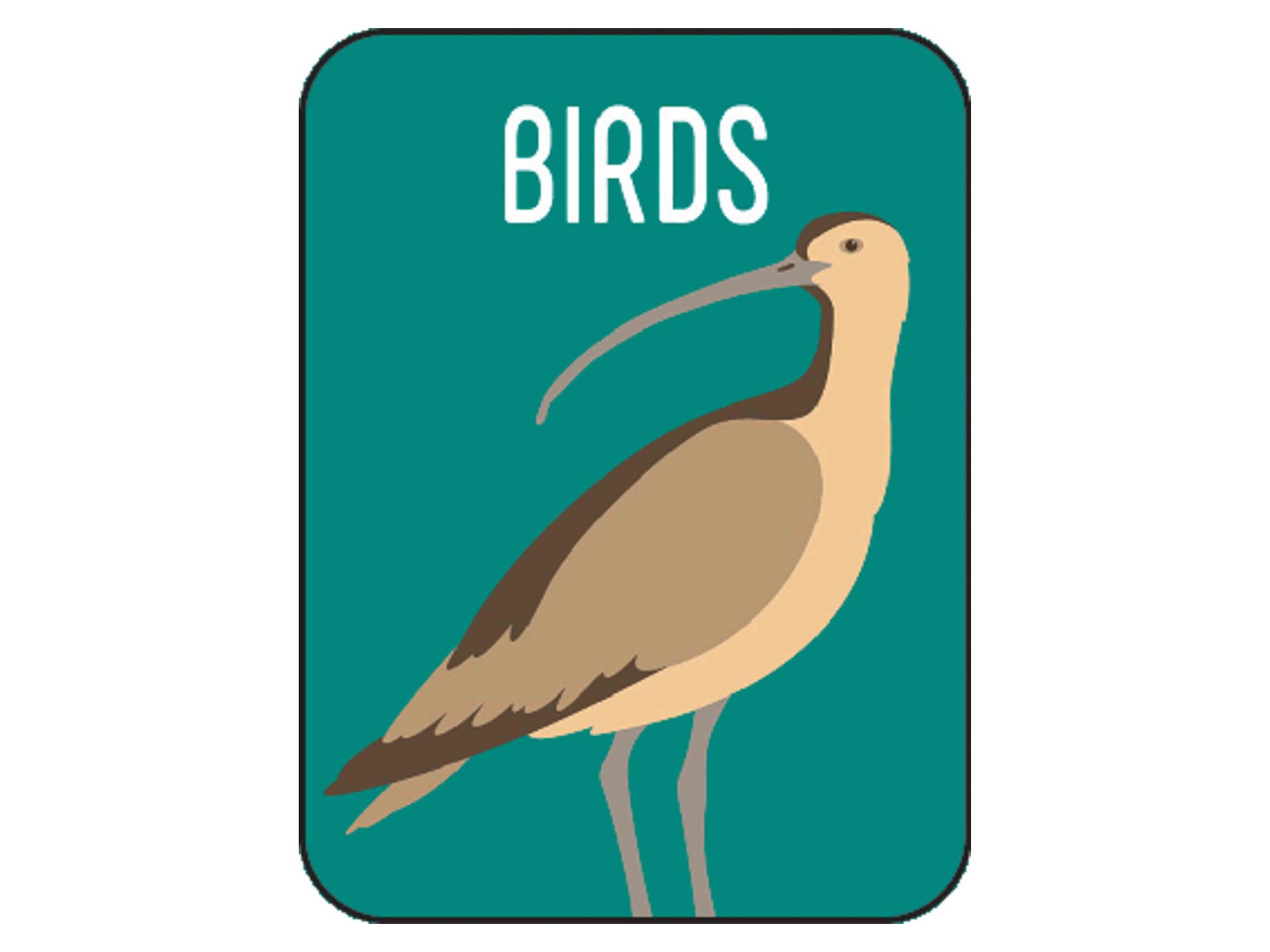 Non-Fiction Classification Labels - Image 6