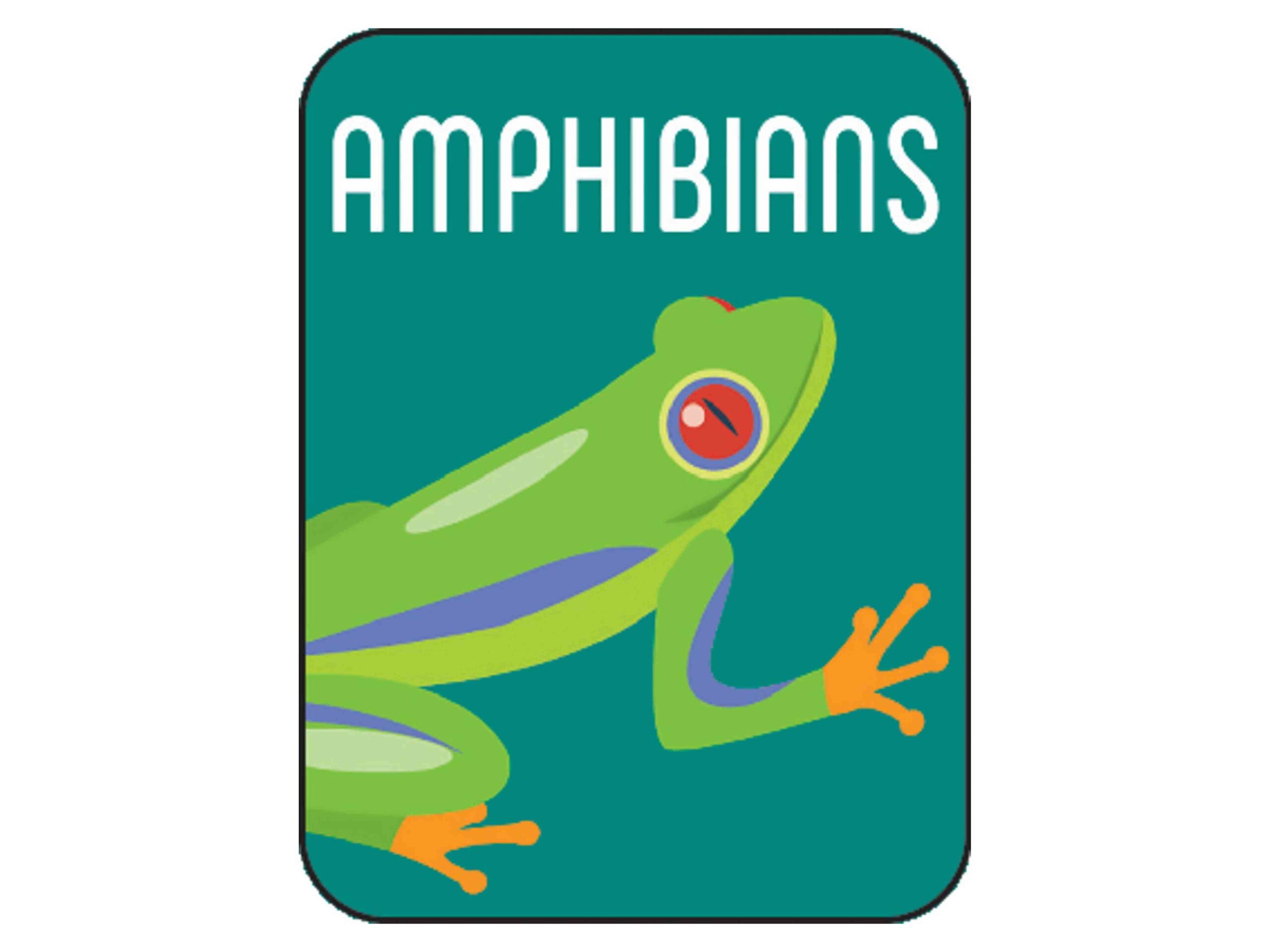 Non-Fiction Classification Labels