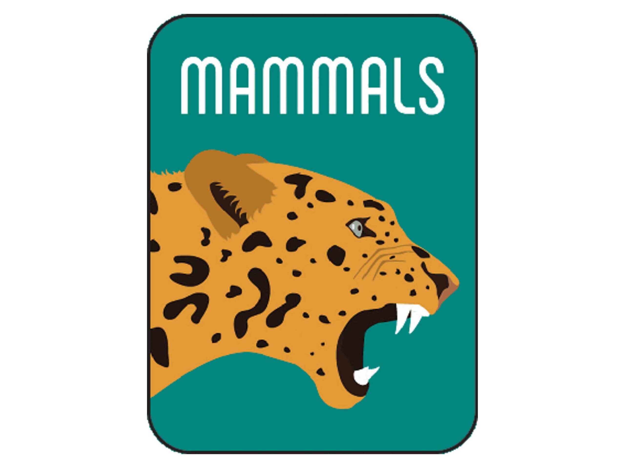 Non-Fiction Classification Labels - Image 18