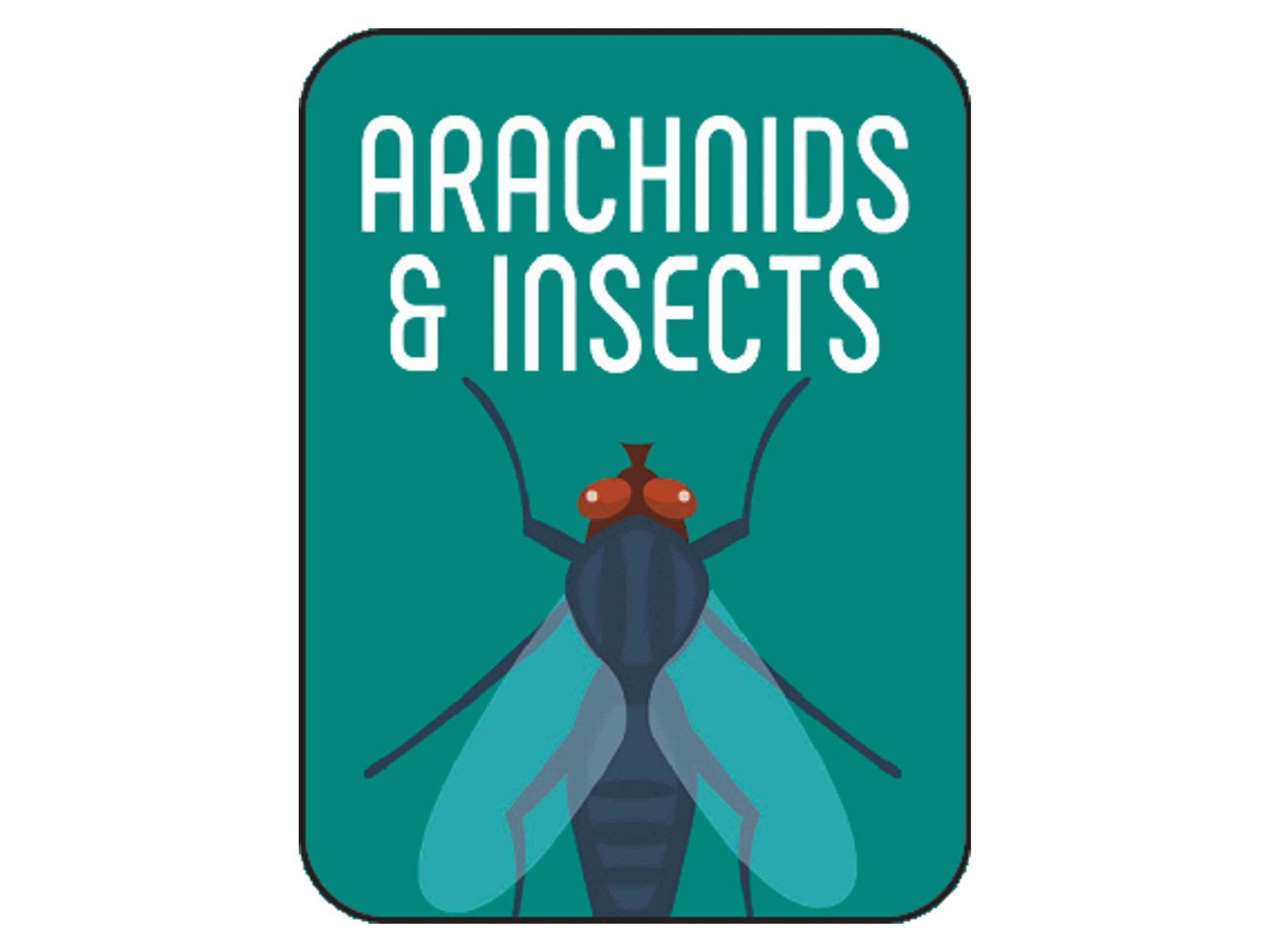 Non-Fiction Classification Labels - Image 3