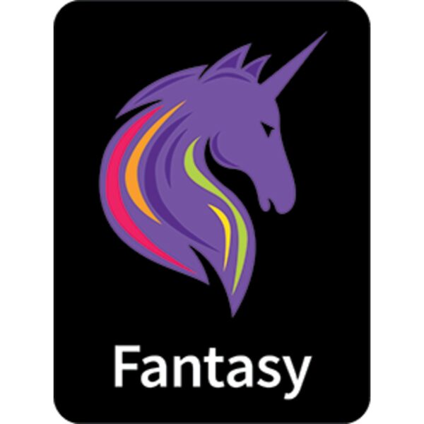 Flare Classification Labels