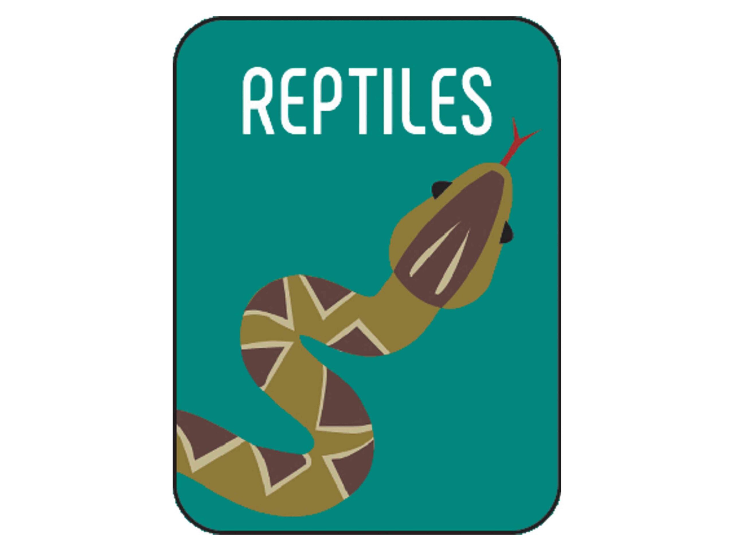 Non-Fiction Classification Labels - Image 29